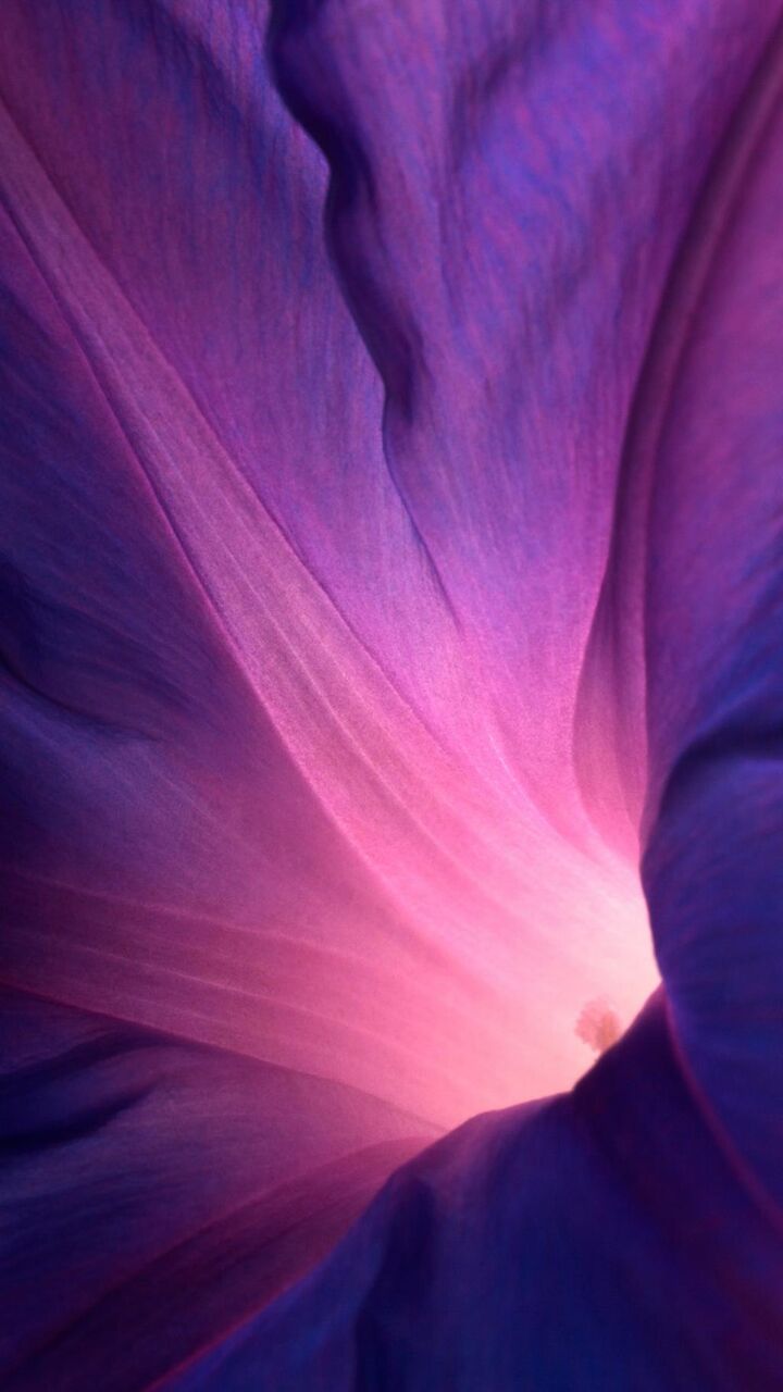 紫の花の壁紙大理石の芸術ライト ロック画面の画像 Hdの携帯電話の壁紙 風景 壁紙