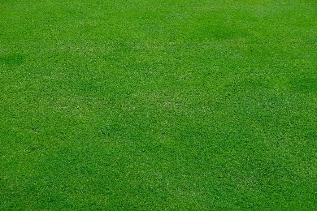 ピーク 牧草地 草 緑 春 壁紙防水チェッカー 芝生 高精細の画像 材料を入力します 壁紙