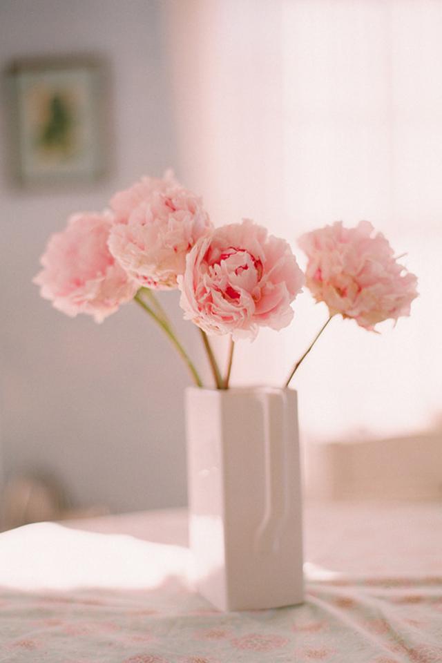 Wenxin 6月の名前府の花の壁紙 ロック画面の画像 Hdの携帯電話の壁紙 風景 壁紙 Wenxin 6月の名前府の花の壁紙 ロック画面の画像 Hdの携帯電話の壁紙 風景 壁紙