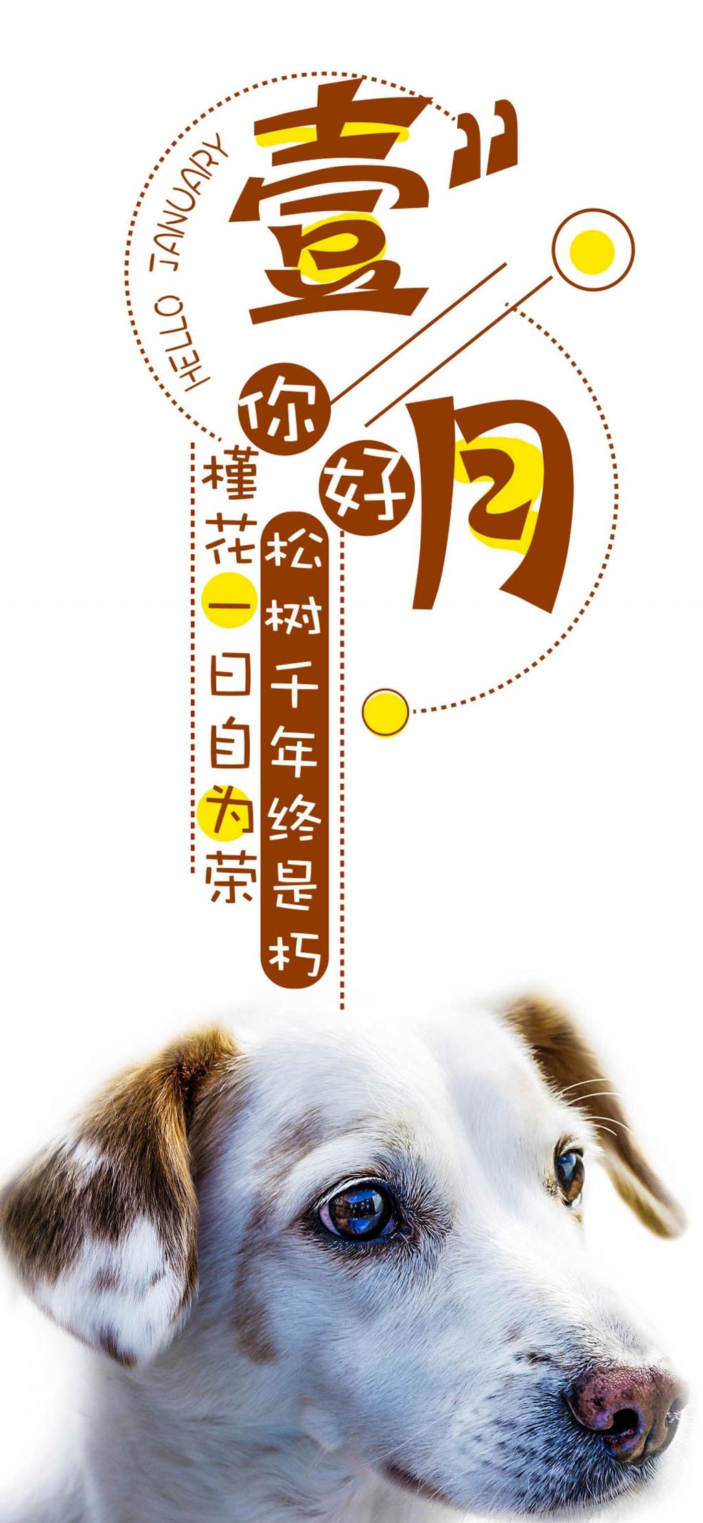 月こんにちは区壁紙の背景かわいい犬 ロック画面の画像 Hdの携帯電話の壁紙 代替の移動 壁紙 月こんにちは区壁紙の背景かわいい犬 ロック画面の画像 Hdの携帯電話の壁紙 代替の移動 壁紙