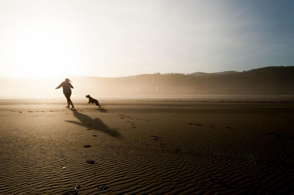 ビーチ 犬 壁紙春チェイス ドラマ 楽しい 幸せ 幸せ 高精細の画像は 材料を入力します 壁紙