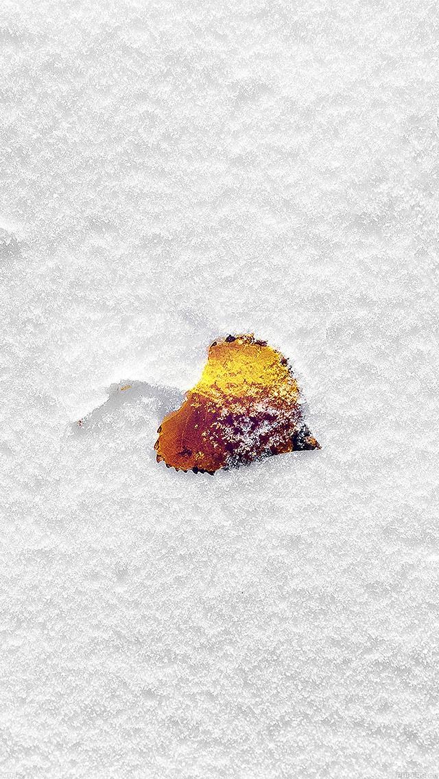 シンプルでバイオni Nnのaƒÿ きれいな冬の雪かわいいい葉の壁紙 ロック画面の画像 Hdの携帯電話の壁紙 風景 壁紙