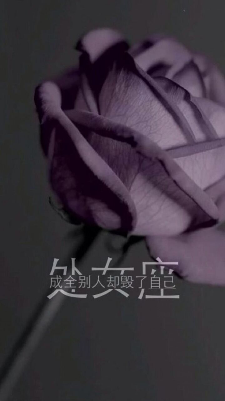 乙女座は 壁紙iphone Ko Kaいいっ他人を果たしたが 代替ロック画面の画像 Hdの携帯電話の壁紙を 自分自身を破壊します 壁紙 乙女座は 壁紙iphone Ko Kaいいっ他人を果たしたが 代替ロック画面の画像 Hdの携帯電話の壁紙を 自分自身を破壊します 壁紙