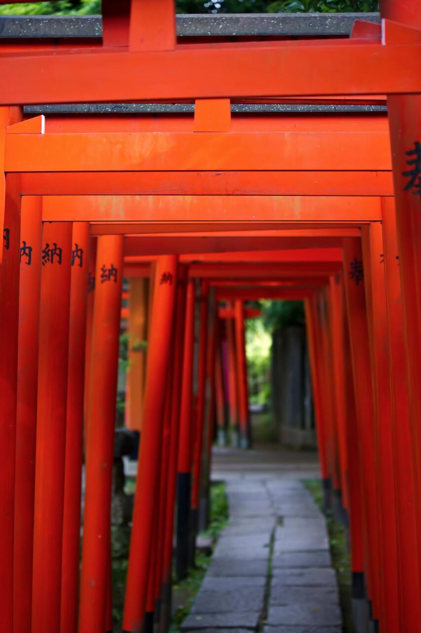 稲荷神社と赤い鳥居 Hdの壁紙お市ゃ私泣くへやの写真 材料を入力します 壁紙