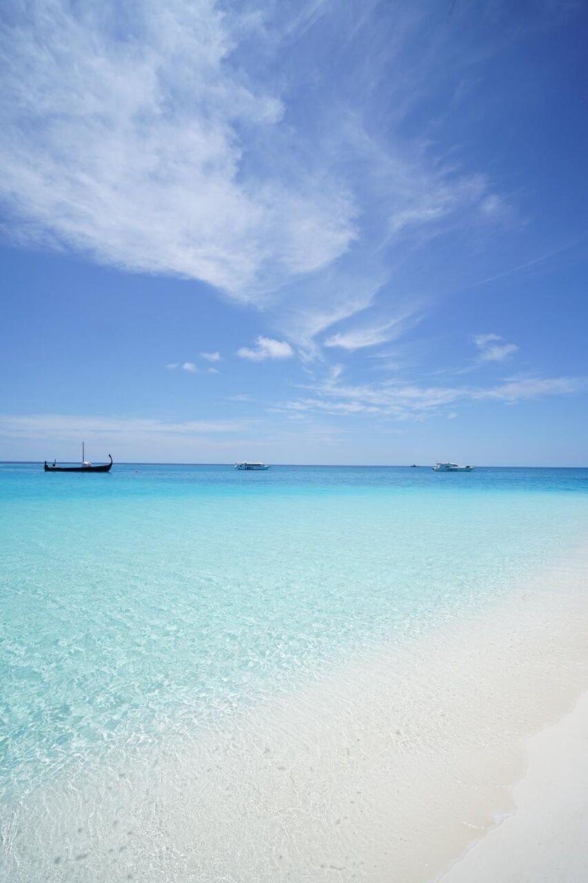 モルディブ ビーチ エメラルドの海 夏 休暇の壁紙花の茎 空 海 高精細の画像 材料を入力します 壁紙