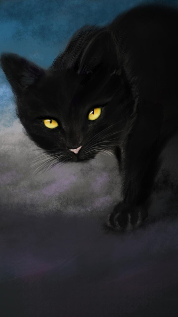 孟孟ラインの壁紙いかわいい黒猫 ロック画面の画像 Hdモバイル壁紙 動物 壁紙