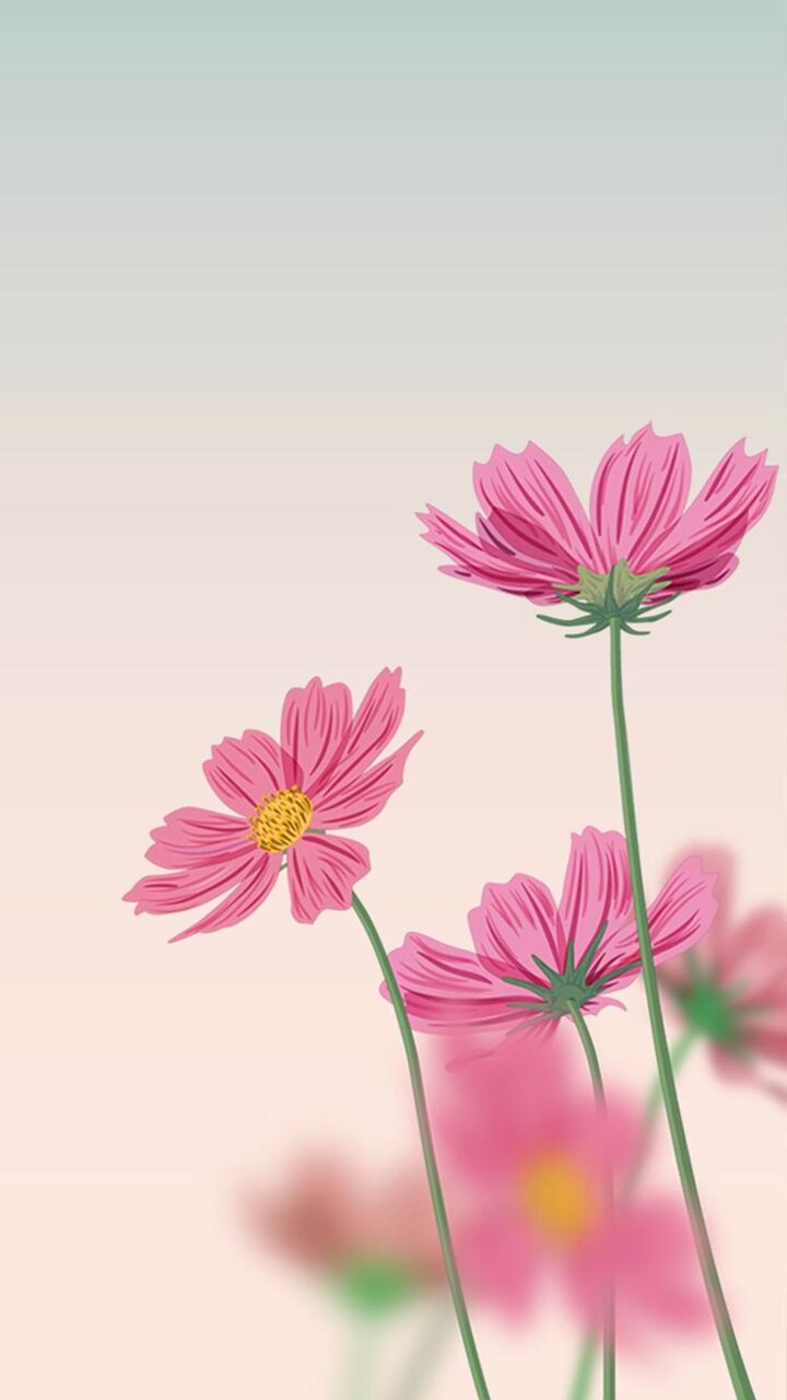 ロマンチックなピンクの花 ロック画面の画像 Iphone白い壁紙携帯電話の壁紙 植物 壁紙