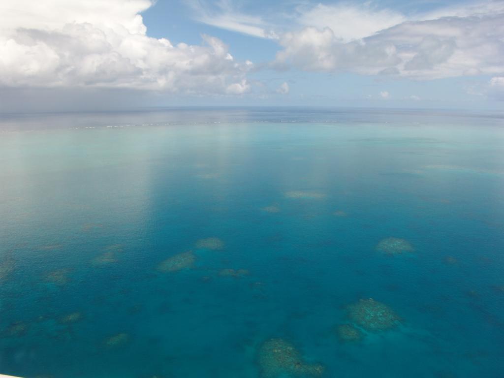 グレートバリアリーフ ダイビング サンゴ 海 太平洋は 高精細な画像を反映し キュートい壁紙iphoneを滑らかに 材料を入力します 壁紙
