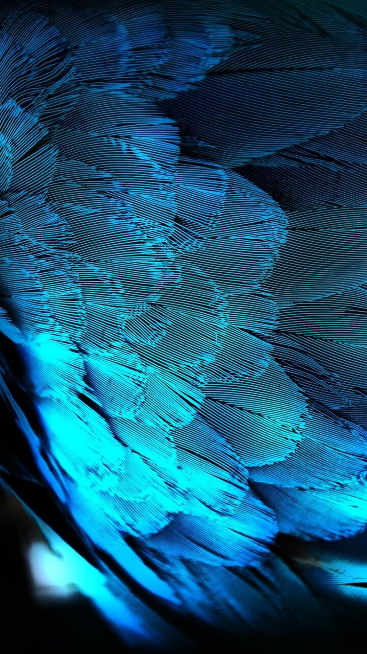 ブルー孔雀の羽の壁紙スターの毛 ロック画面の画像 Hdの携帯電話の壁紙 代替 壁紙