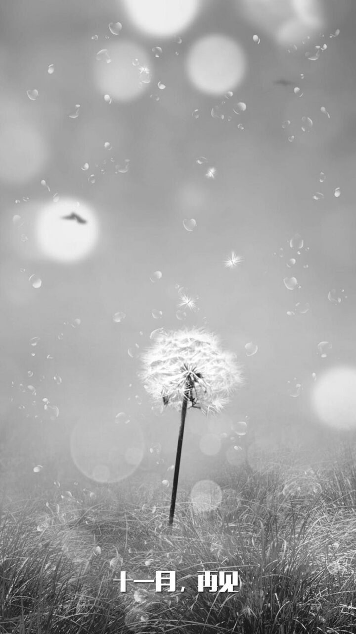 サン Ge Tsu壁紙sa Nn Puヒカルロック画面の画像 Hdの携帯電話の壁紙 非主流製11月の別れ 壁紙