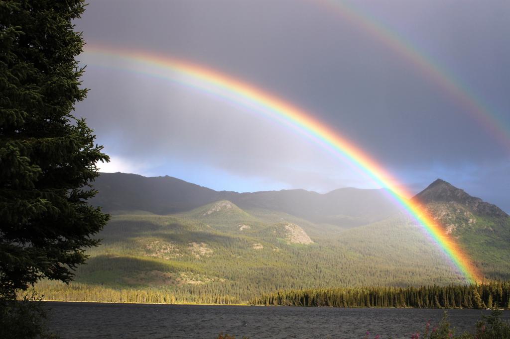 レインボー 雨 アーチ パーマー湖 Atlin 虹の色 二重の虹 高精細画像の壁紙猫i Ra Suスイートは 材料を入力します 壁紙