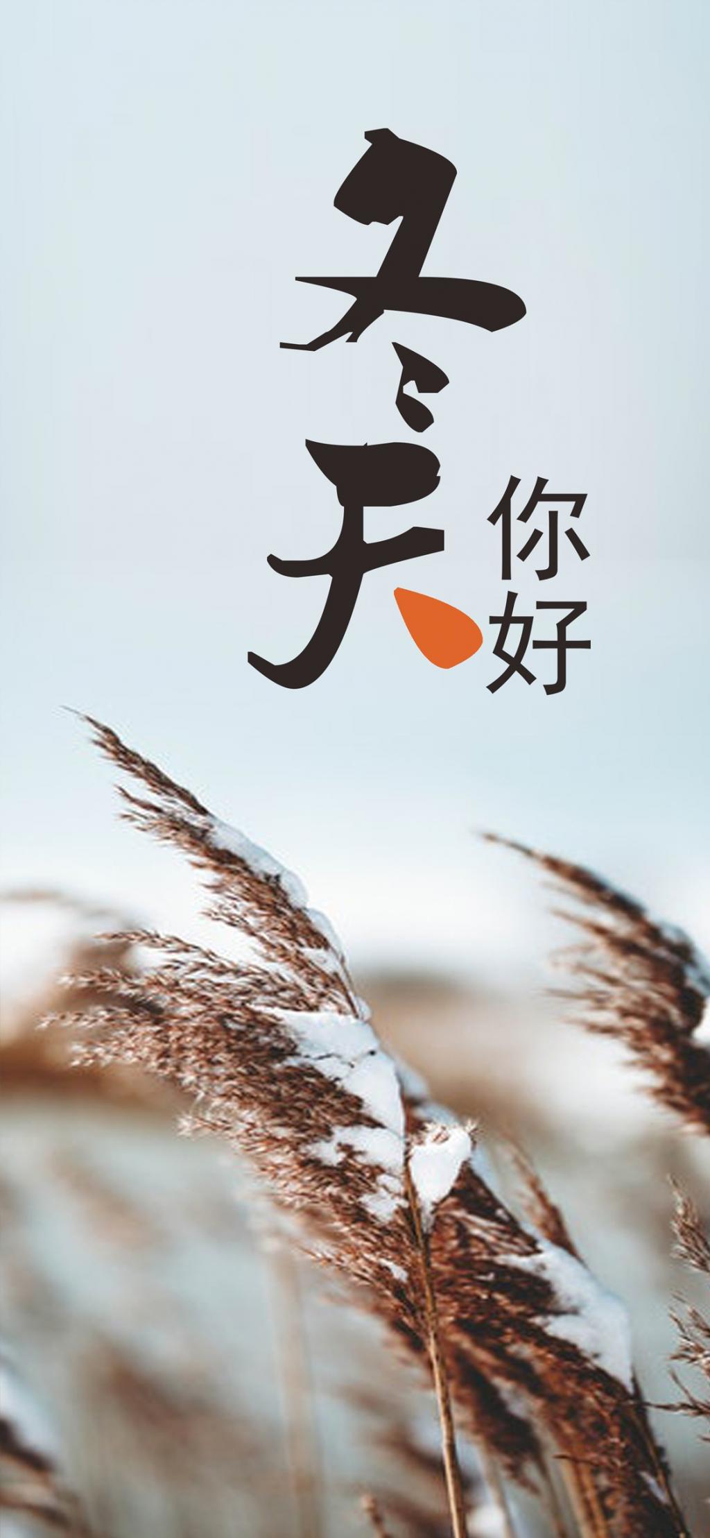 04年08月17日 壁紙