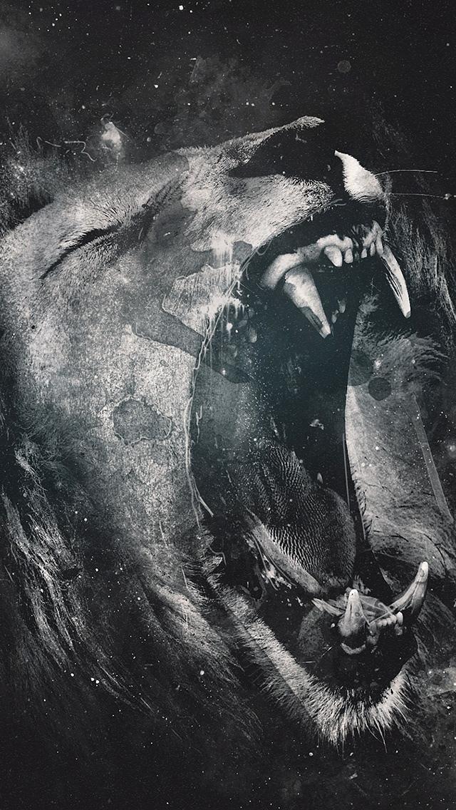 轟音ライオンiphoneアniメ壁紙の息子 ロック画面の画像 Hdモバイル壁紙 動物 壁紙