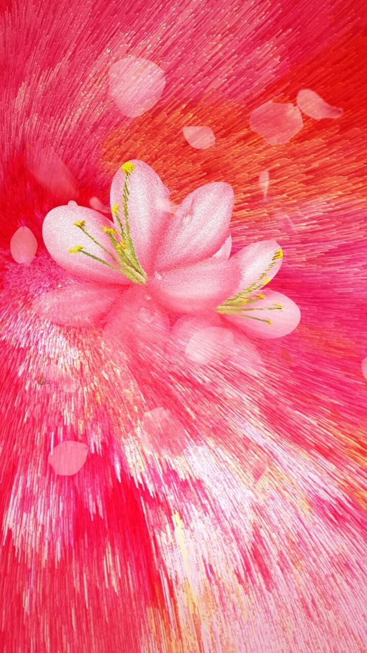 色の花の壁紙花のiphone可愛いい ロック画面の画像 Hdの携帯電話の壁紙 代替クール 壁紙