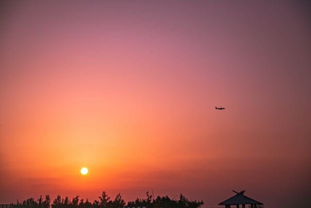 解放 キヨバァ 乳がん余命一年