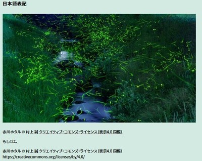 ꡼󥷥å_26-9-2025_111532_find47.jp