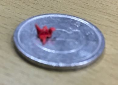 ����ץ���