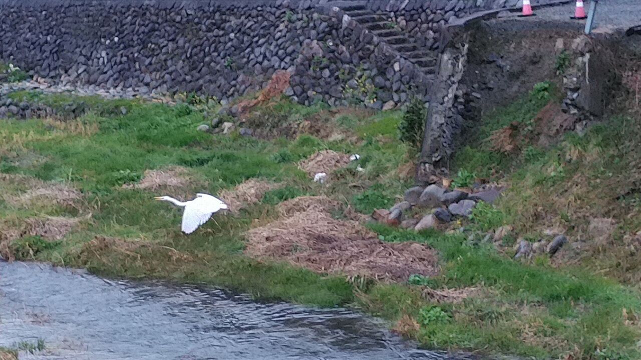 ιΩ�äƤ����ޤ���