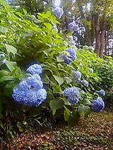 ����������������������