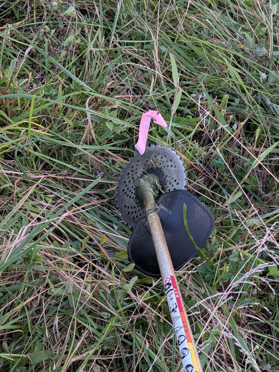 カワウよけもどうにかして