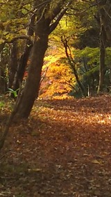 �����л�����