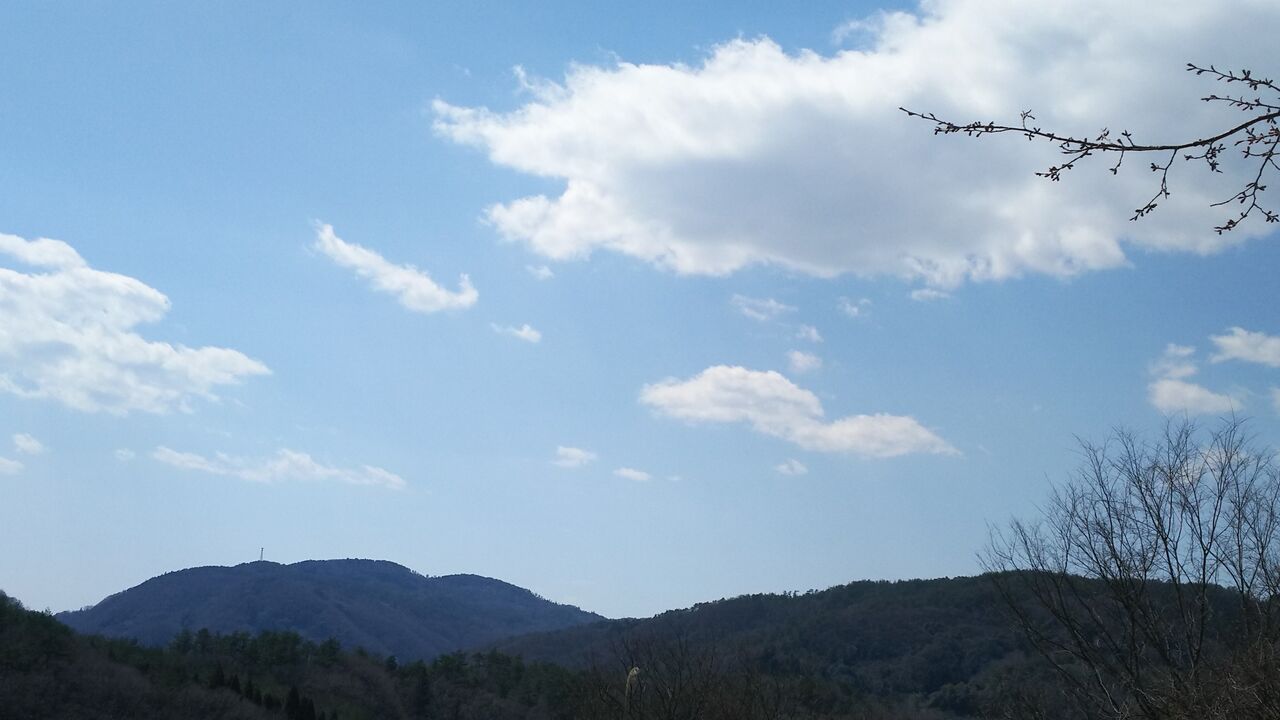 ŷ����������