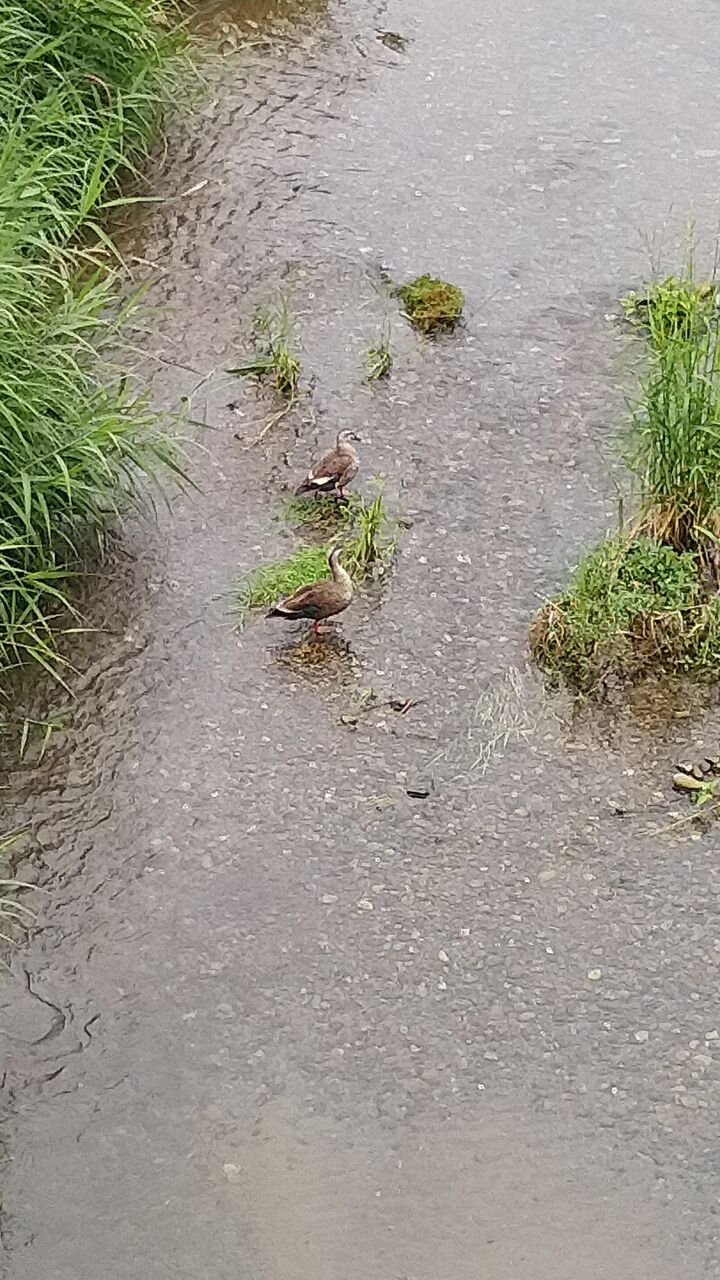 į��Ƥޤ���