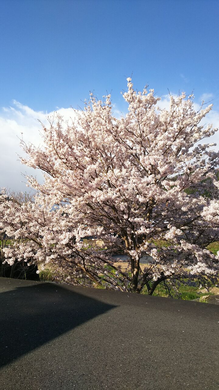 ���βָ���