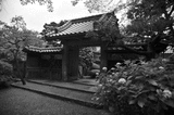 椎木御殿
