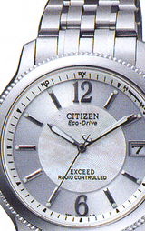 �ѥ˥å��륢��륮���б����ʤ�ȩ��ͥ�����ӻ���