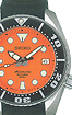 96992cbe.jpg