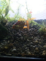 知らないあいだに