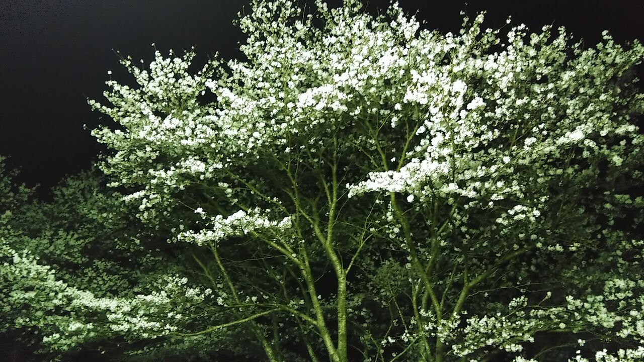 ��������줤