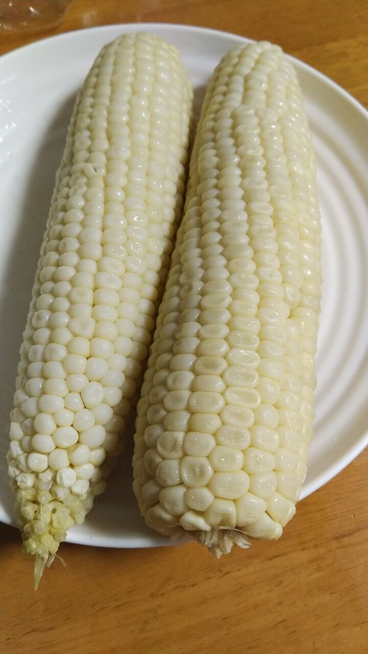 �򤤥ȥ��������