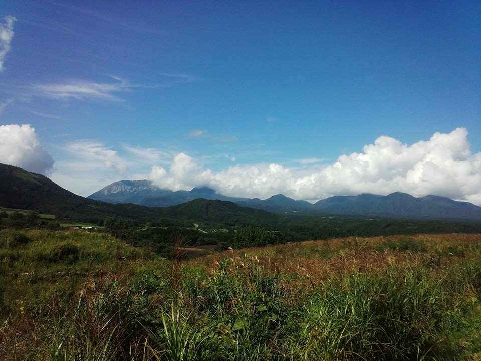 ����ŷ���ΤȤ��ϵ������������Ǥ���