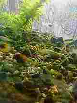 ����餺�����Ǥ�