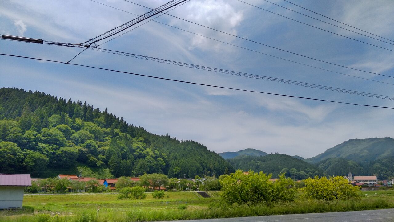 ŷ���ɤ��Ǥ�