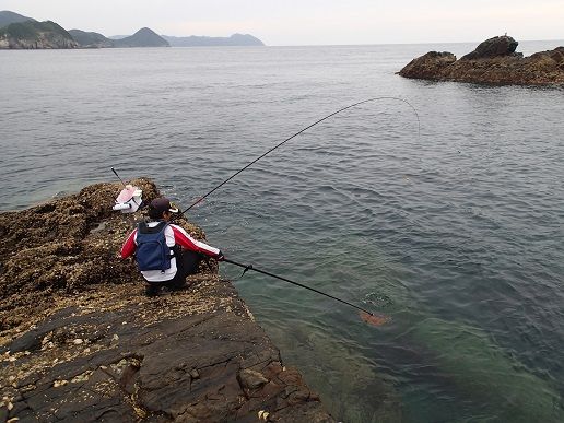 スジアラ狙いで鹿児島県甑島へ 南船北馬