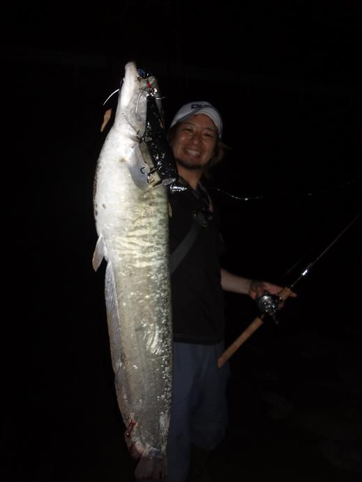 12 07 18 諫早本明川ナマズ 南船北馬