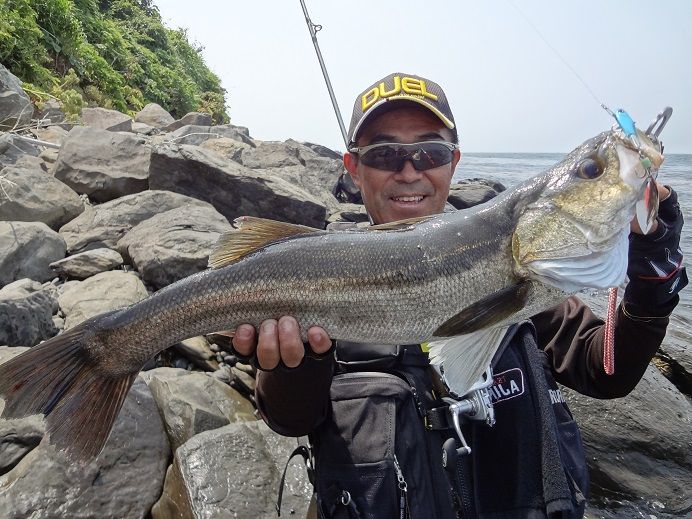 14 07 01 福岡県博多湾のシーバス 南船北馬