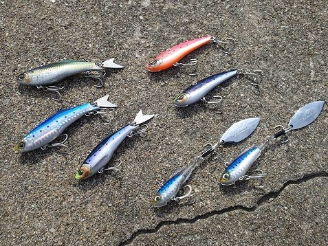 冬の磯マル 釣り方の再確認 南船北馬