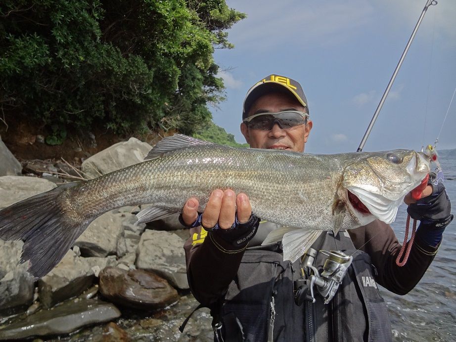 14 06 24 福岡県博多湾のシーバス 南船北馬