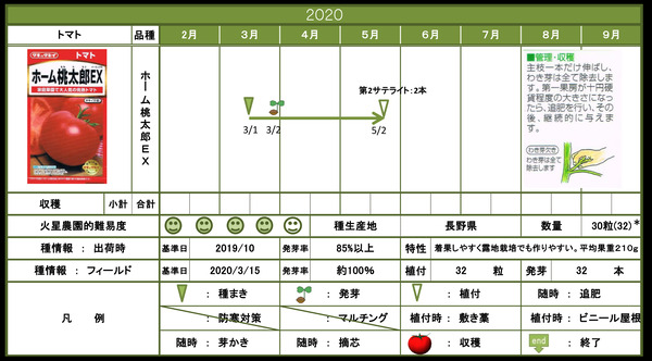 トマト(桃太郎).tif