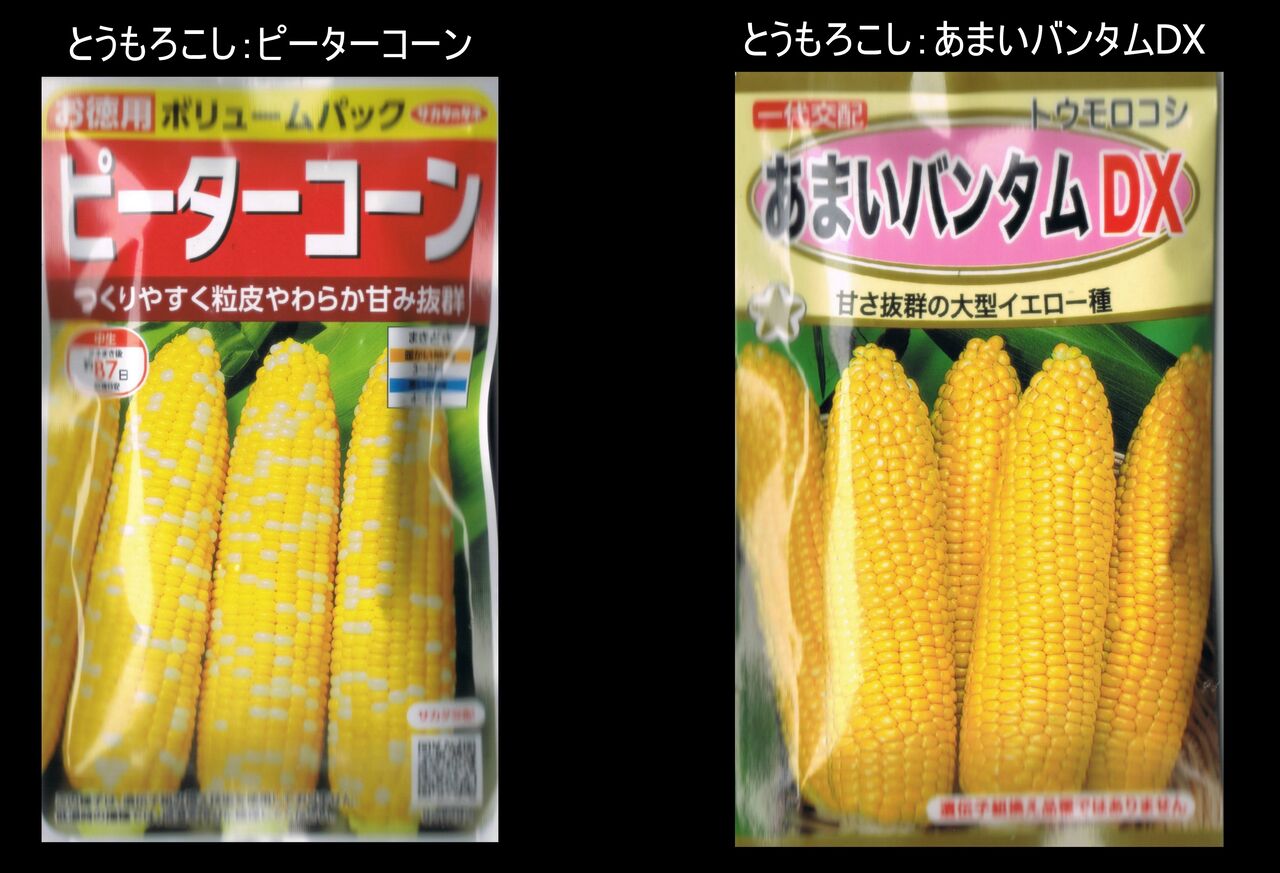 心臓モニターを自分の手で設計してみようと考えたことはありますか?