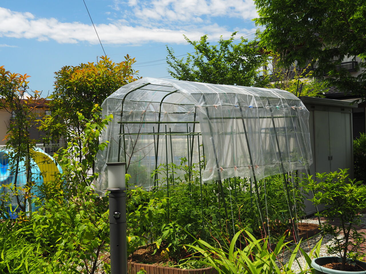 火星:NASAが火星の地震計の音を公開