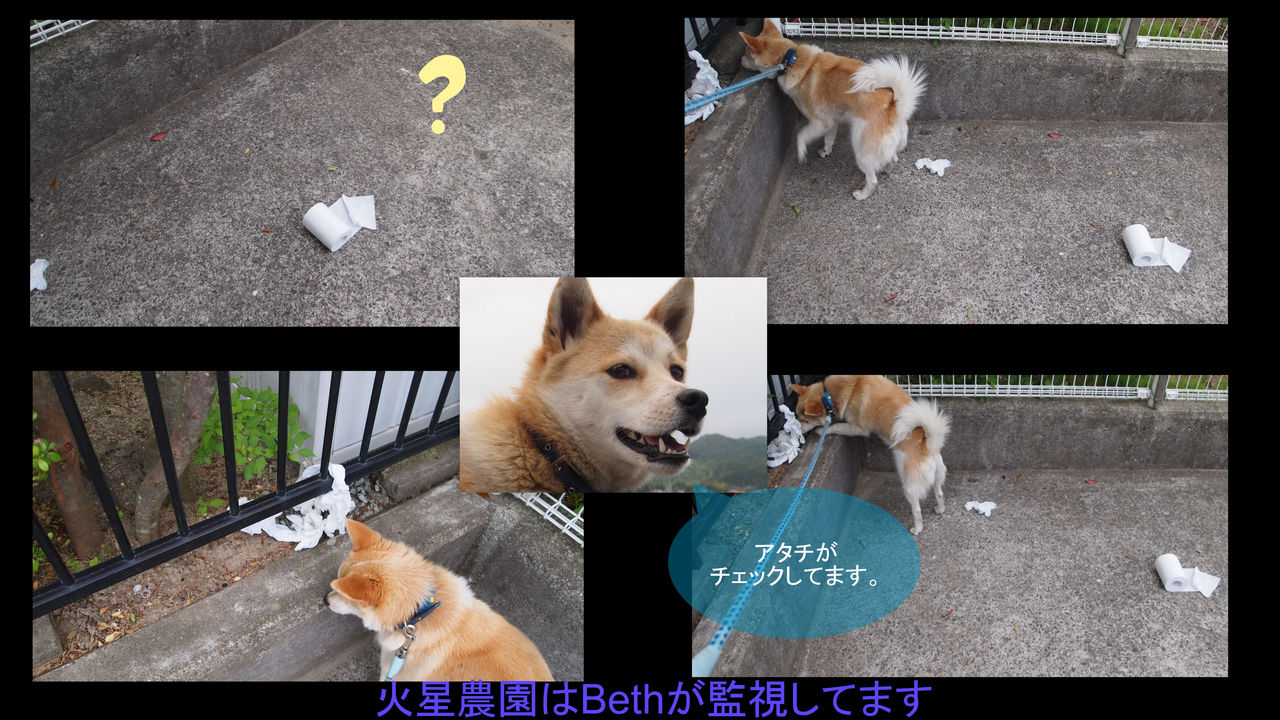 NASA:キュリオシティが火星で夜勤を開始