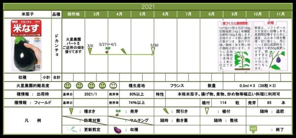 米茄子5月