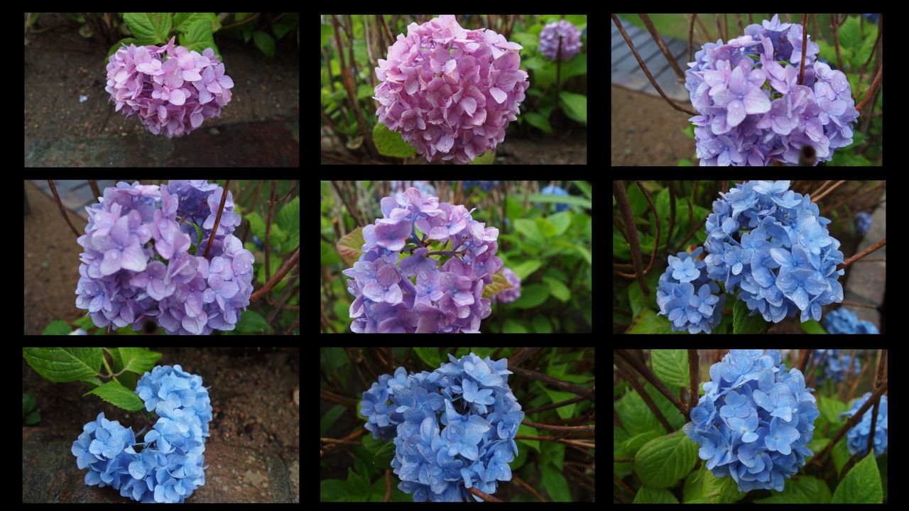 自然にお腹を強くする方法は？