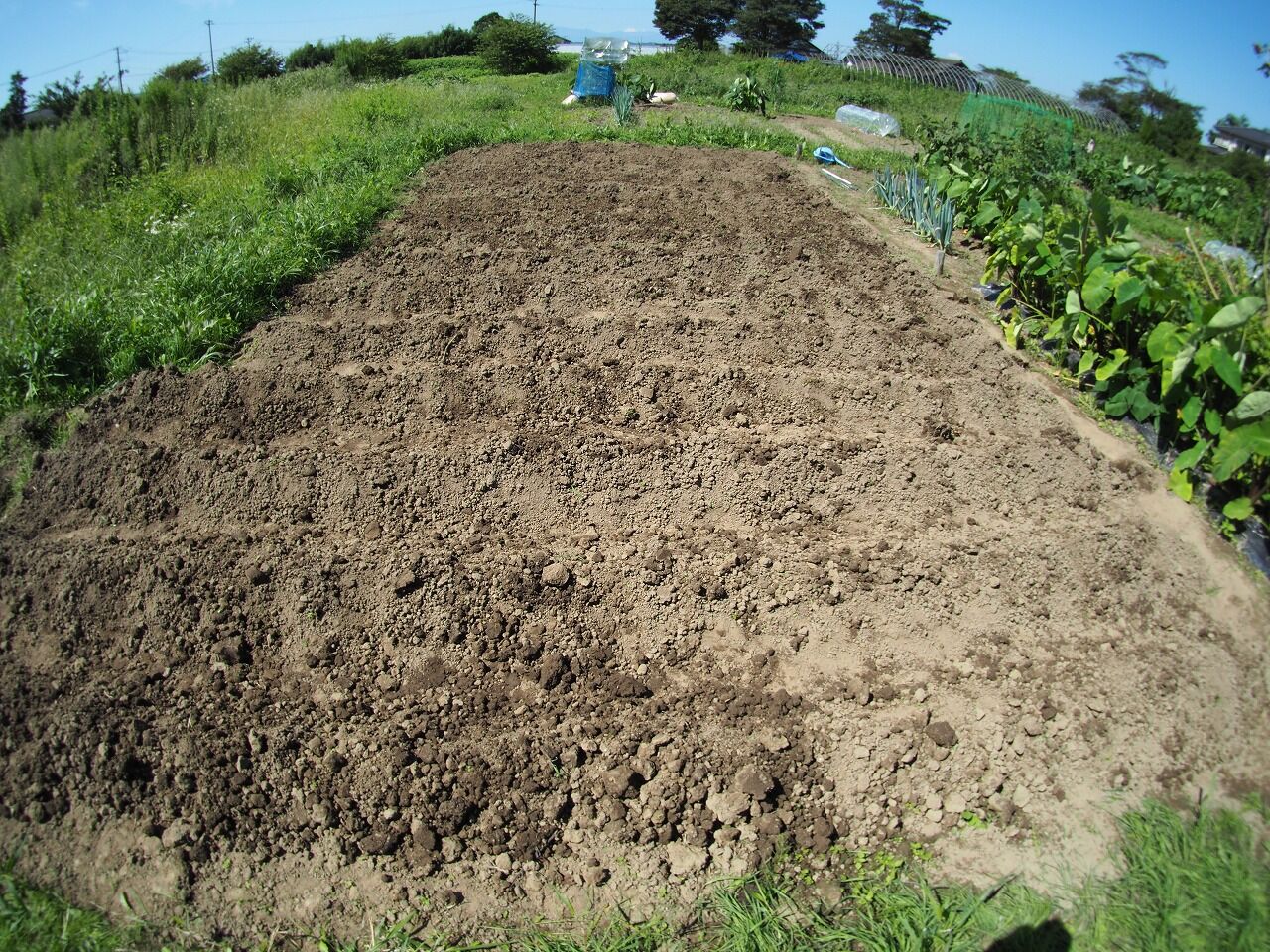 ものもらい：その正体、症状、予防