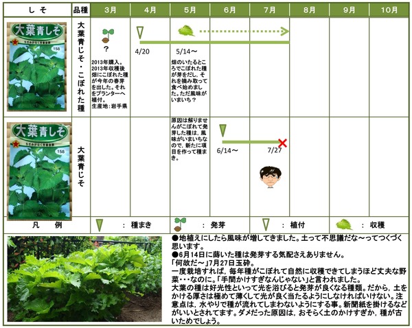 実験研究により参加者全員のがん寛解が促進される